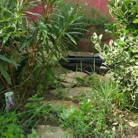 Studio Avenue Des Acacias 3 موريه